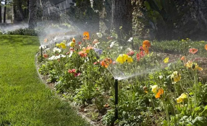 1699584912597886.png image.png